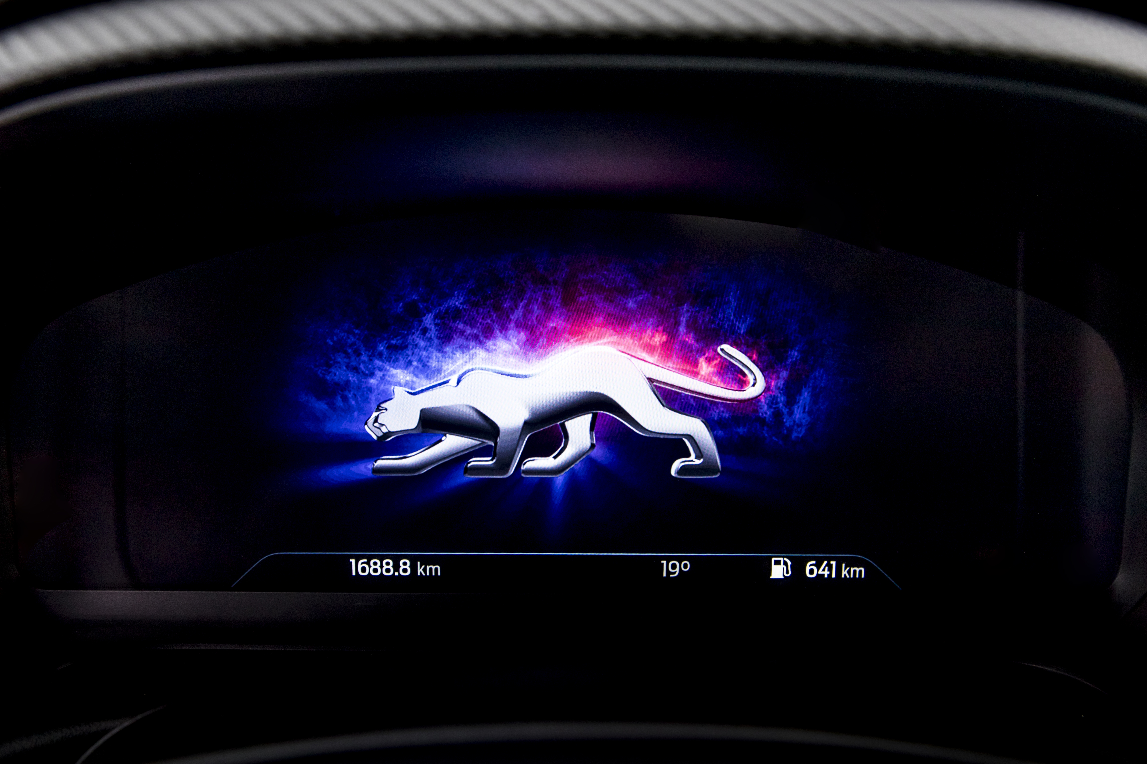 Ford Puma - Tecnologie - Quadro Digitale