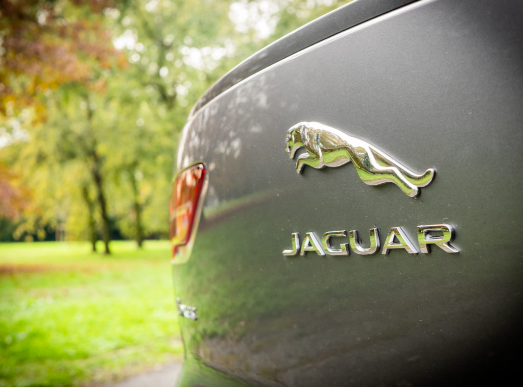 Jaguar I-PACE HSE MY19: logo Jaguar